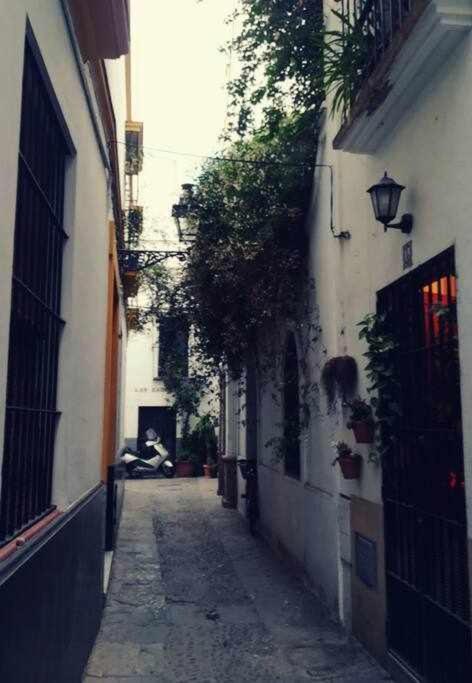 Apartment Precioso Lugar En Barrio Sta Cruz *